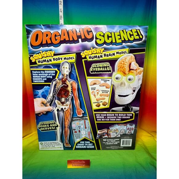 SMARTLAB Toys Totally Squishy from Head-to-Toe Human Body - Picture 4 of 6